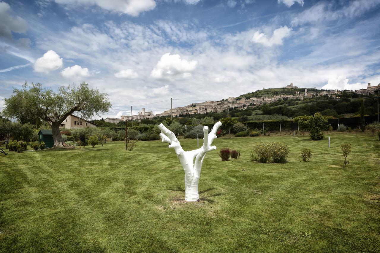 Tenuta San Masseo - Boutique Farm Resort & Spa Ασίζη Εξωτερικό φωτογραφία